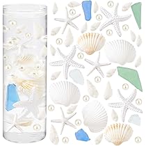 Amazon | 【貝殻の問屋さん】貝殻セット（ホワイトスペシャルセット