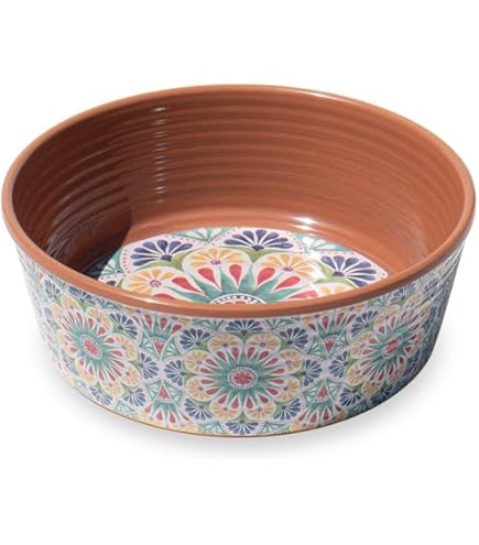 Amazon | ミアカラ (MiaCara) フードボール Desco (ディスコ) ホワイト