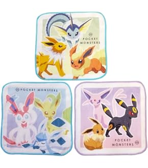 ピカチュウ・ポッチャマ ハンカチと容器セット ピカチュウ ポッチャマ ハンカチ ポーチセット 船形M FEILER