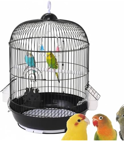 Amazon | ファープラスト 鳥かご レジーナ アンティークブラス 小型鳥