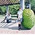 NMB48「ドリアン少年(Type-C)」