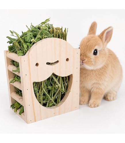 Amazon | ウサギ 牧草ボックス 干し草ラック フードボウル うさぎ 牧草