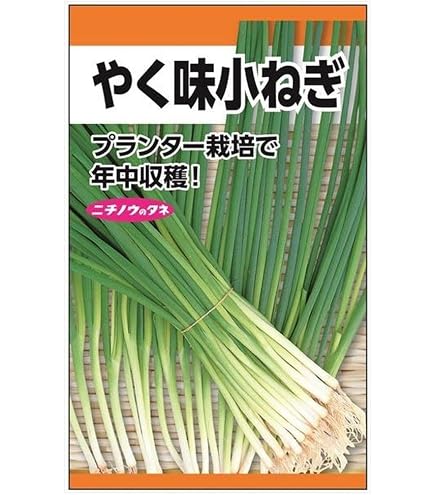 Amazon.co.jp: ネギ 種 【 浅黄系九条 】 種子 小袋（約15ml） : DIY