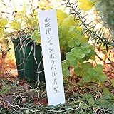 農用ジャンボラベルA型 幅5cm×30cm （白） 20枚セット[鉛筆で書ける植物用品種ラベル] ノーブランド品