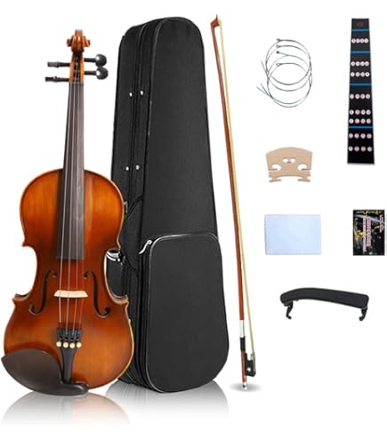 Amazon.co.jp: Hallstatt Violin V - 12 4/4 Size Violinches