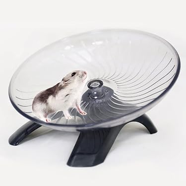 Amazon.co.jp 人気ギフトランキング: 小動物用回し車 で、ギフトの設定