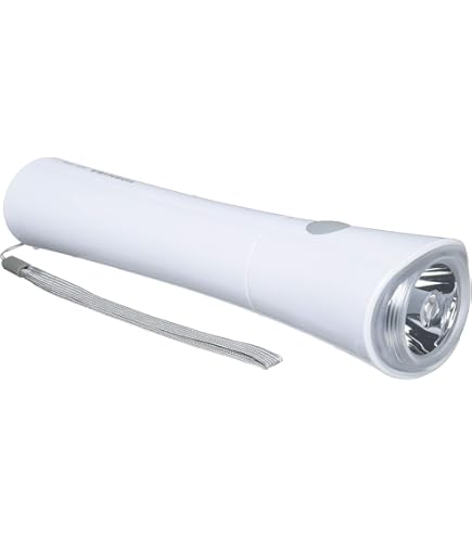 Panasonic BF-664F 新品未開封 懐中電灯 おまけ付き 概要 6W蛍光灯付強力ライト（単1電池6個用） BF-664F | LEDライト