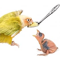 Amazon | Nikkashop 鳥用 給餌スプーン ステンレス ヒナ鳥 挿し餌