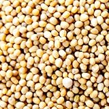 神戸スパイス イエローマスタードシード インド産 250g
