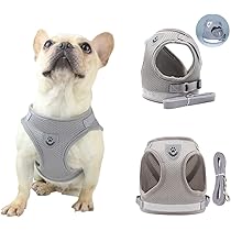 617VaEkD5DL._AC_UL210_SR210,