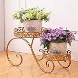フラワースタンド，コンチネンタル 鉄の芸術 花 フレームワーク コンテナ バルコニー 地面 多層 フラワーポット シェルフ ホーム 屋内および屋外 緑大根 肉を増やす クロロフィタム 多機能 床置き 