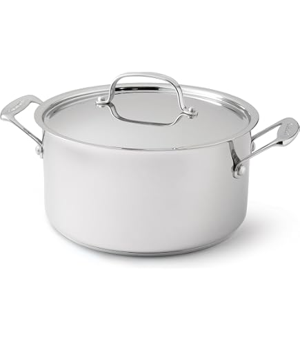 Zwilling Vitality Stock Pot 24 cm - 6.0L : Amazon.sg: Home