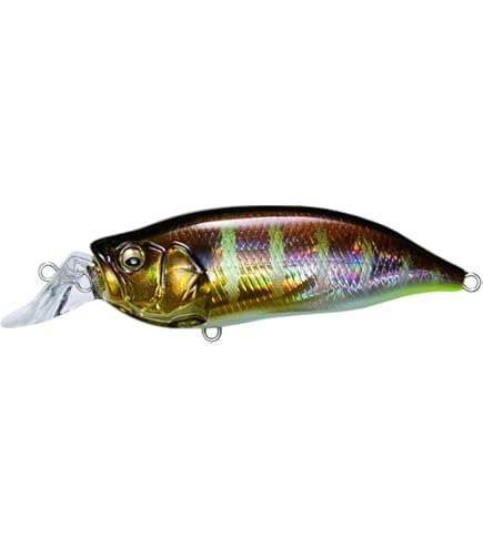 Amazon.co.jp: メガバス(Megabass) ルアー IXI SHAD