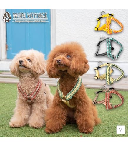 Amazon | バイカラーコードハーネス S Solgra-ソルグラ- 犬用
