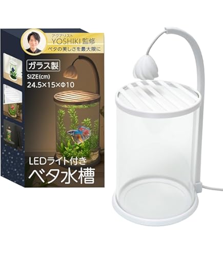 Amazon | KEIAN ミニチュア・ランドスケープ アクアリウム・セット