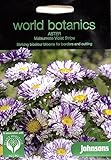 【輸入種子】 Johnsons Seeds World Botanics Collection Aster Matsumoto Violet Stripe アスター・マツモト（松本）・ヴァイオレット・