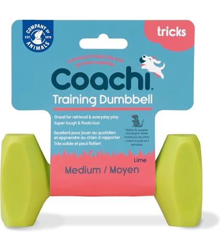 Amazon.co.jp: PetSafe Teach & Treat Remote Reward Trainer ホワイト