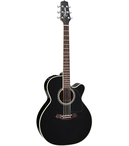 Amazon | Takamine/エレアコ500シリーズ DMP551C | エレアコギター