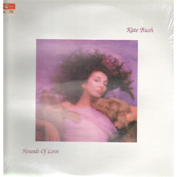 Amazon.co.jp: Hounds Of Love - 2018 Remaster: ミュージック