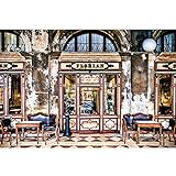 輸入壁紙 Florian フロリアン XXL4-058/サイズ：368×248cm/セルノリ付き/Z3K