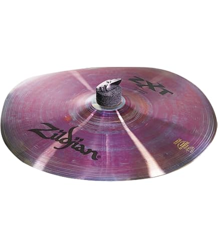 Amazon.co.jp: ジルジャン エフェクトシンバル トラッシュ