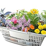 相武ガーデン 【マケプレお急ぎ便対応】 花苗 店長おまかせ 季節のポット苗15ポットセット