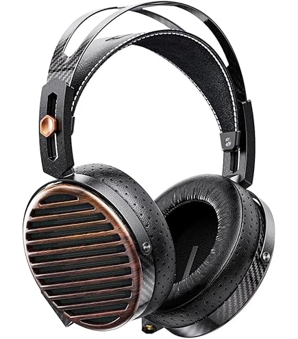 Amazon.co.jp: FIIO FT7 Black FIO-FT7-B【日本正規販売店より