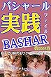 バシャール実践ファイル第0003巻【ストック型ネットビジネス成功ルート～収入ゼロ時代をワクワクで超越する～】BASHAR