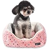 Amazon|ネコ醤油皿《6枚セット》 (全種各1)|小皿 オンライン通販