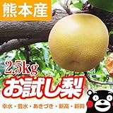 お試し品 熊本産 訳あり 梨 1セット（2.5kg）【 九州 熊本 梨 なし ナシ ギフト 敬...