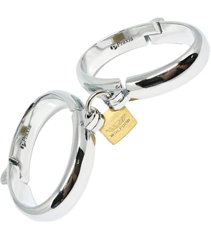 Amazon | [Praxia] 金属製 首輪 施錠 チョーカー (丸面) 【鈴