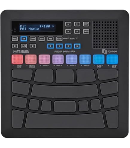 Amazon | Roland ローランド EC-10M エルカホン カホン専用