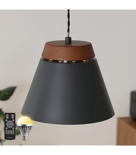 Amazon.co.jp: コイズミ照明 ペンダント AP49034L 本体: 奥行60cm 本体