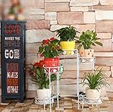 JCRNJSB® 鉄の多層ランディング折りたたみフラワーラック屋内リビングルームバルコニーヨーロッパスタイルグリーンディル蘭ランフラワーフレームフラワーシェルフ 折りたたみ式、フラワースタンド ( 色