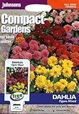 英国ミスターフォザーギルズシード＆ジョンソンシード Compact Gardens Dahlia Figaro Mixed ダリア・フィガロ・ミックス