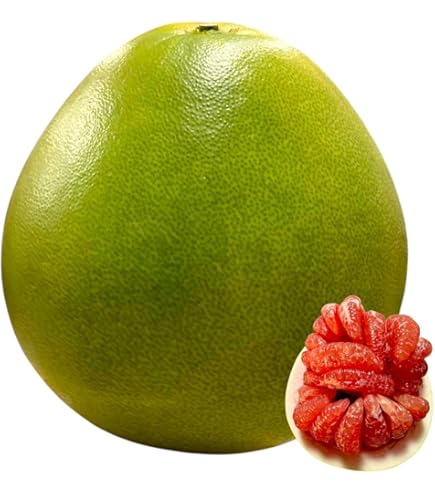 Amazon.co.jp: タイ産 フルーツ ポメロ 4kg (4-6玉) ソムオ― 輸入 新鮮