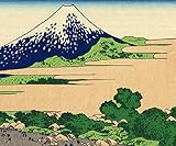 紙のオサイフ KOIKI【小粋】 二つ折財布 カード入れ 富士 田子の浦