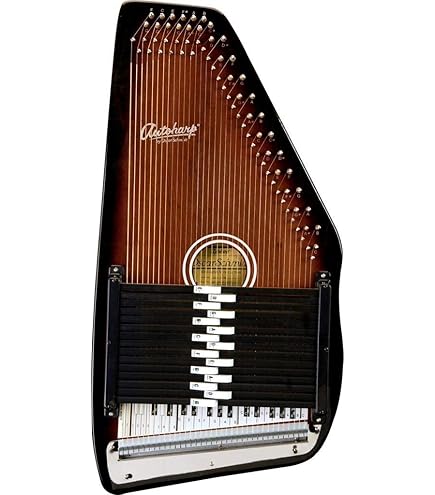 Amazon | 定評とモデル☆21和音 オートハープ OS21C Oscar