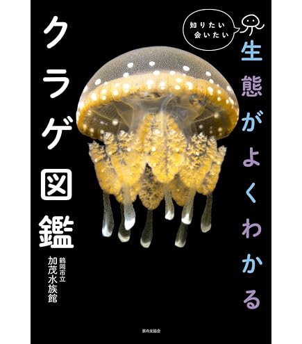 Amazon.co.jp: ザ・アクセス 下敷き クラゲ 大全 水族館 A4 海月