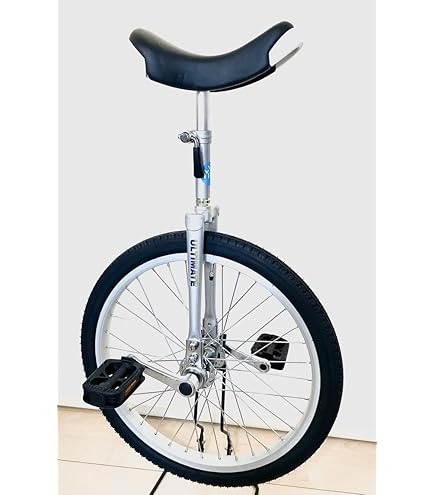 Amazon | どのスポーツのトレーニングにも一輪車は最適。 バランス感覚