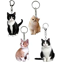 犬と猫どっちも飼ってると毎日たのしい　セット Amazon.co.jp: 犬と猫どっちも飼ってると毎日たのしい Blu-ray
