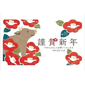 【10枚入り】令和3年(2021年)丑年 お年玉付き年賀状 フルカラー年賀状 TN656-10