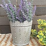 VANCORE Mini Iron Bucket Flower Pot Rustic Metal Vase Holder for Home Decor [並行輸入品]