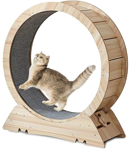 Amazon.co.jp: Naviconvex キャットホイール 猫の車輪 XL 直径113