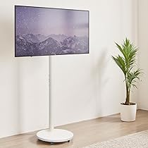 スタンドTV kagu-world_smk-1673