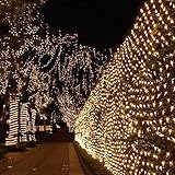 ActionFly Multi-Color Outdoor RGB 96 LED Mesh Fairy string Lights Twinkle Lighting With US Plug for 