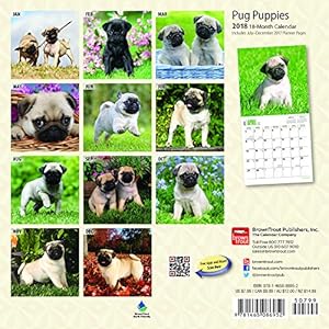 Pug Puppies 2018 Calendar