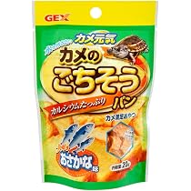 かめのこ 617v4nP-EuL._AC_UL210_SR210,