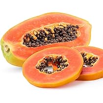 パパイアトロピカル　プロフ必読　 パパイアトロピカル プロフ必読 様専用