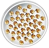 Jones Stephens S01090 5-Inch Chrome Shower Head Gold Tips [並行輸入品]